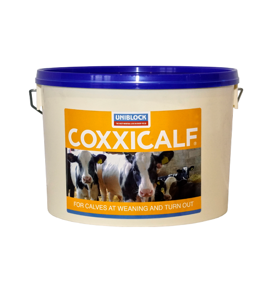 Coxxicalf Product Image