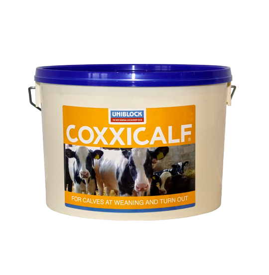 Coxxicalf-Uniblock-Images-Website-10_21 Coxxicalf Product Image