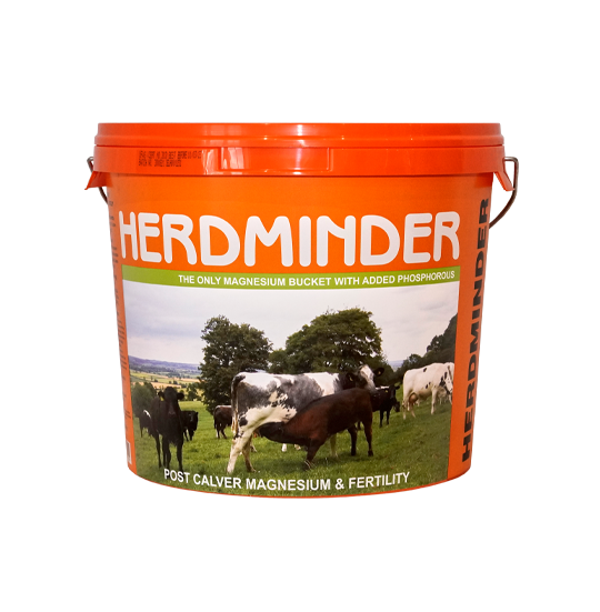 Herminder Product Photo