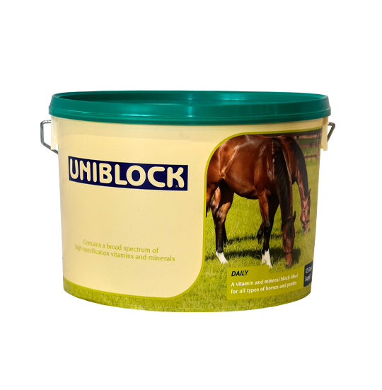 Uniblock Horse Product Photo