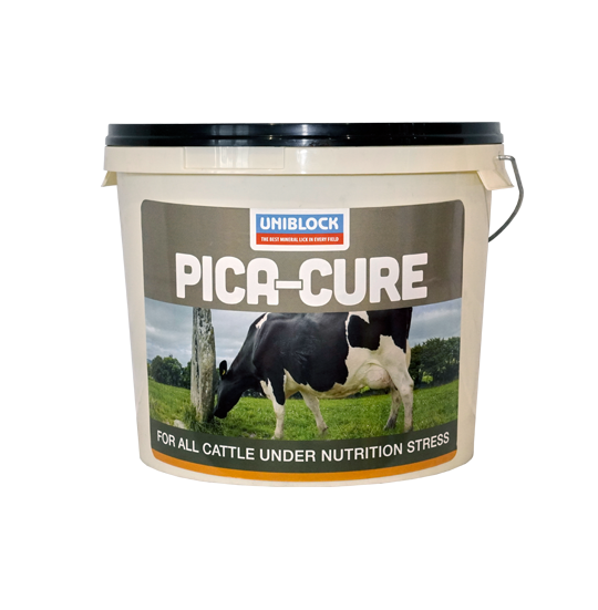 Pica-Cure Product Image