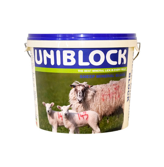 Sheep Mineral Product Photo