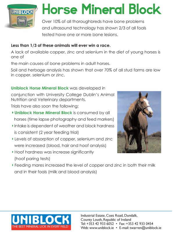 Uniblock Horse leaflet